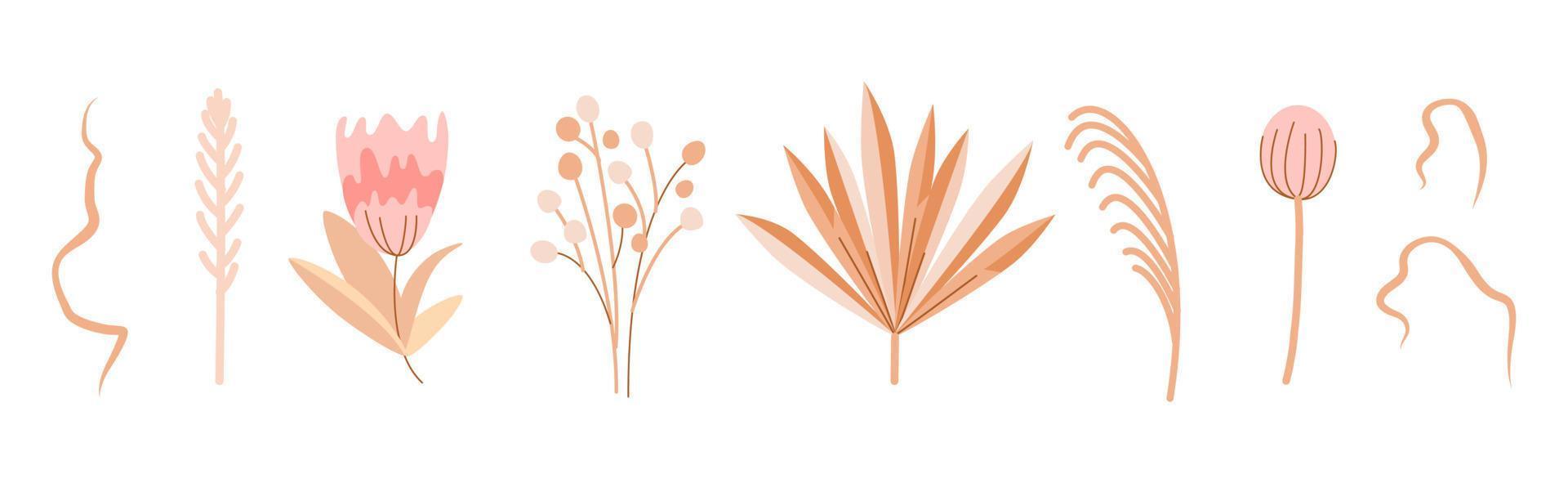 Beige dried flowers and plants. Boho-style decor. Wedding decor. Pink flowers. Herbarium and leaves vector