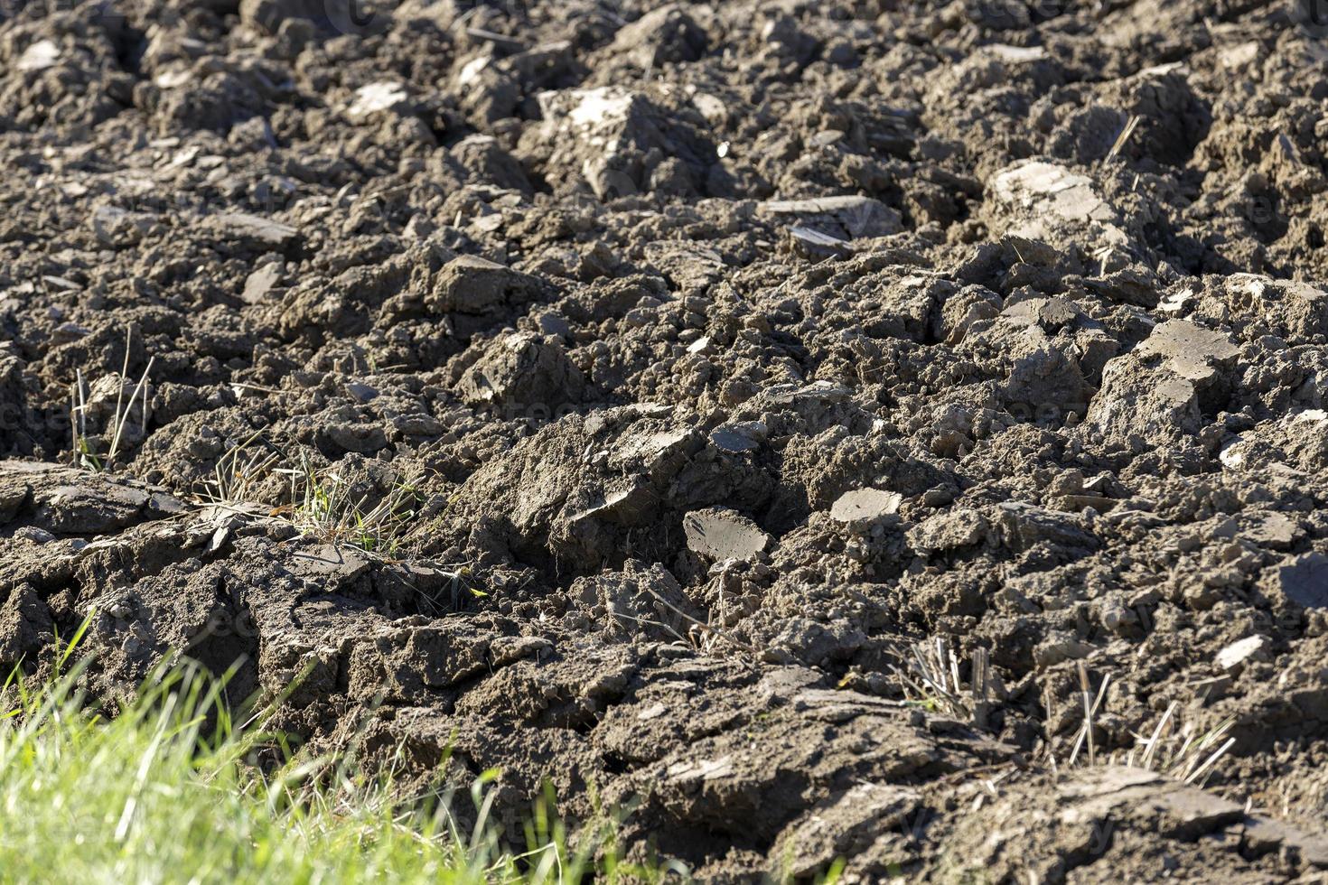 Preparation of soil for sowing plants photo