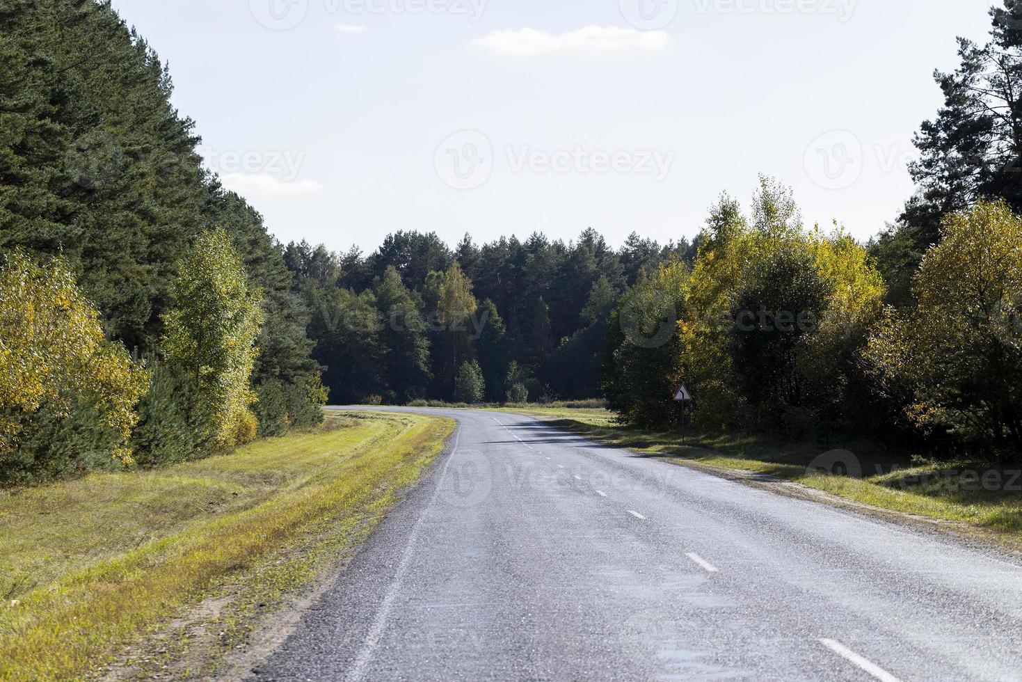 Paved road in the autumn season in sunny weather photo