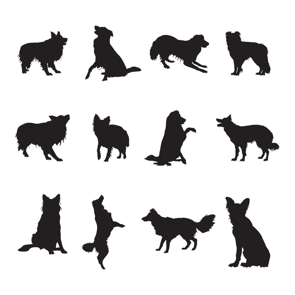 siluetas de perros border collie, colección de siluetas border collie vector
