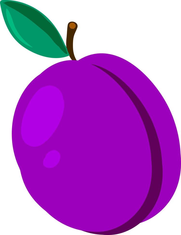 ciruela morada plana, ilustración, vector sobre fondo blanco.