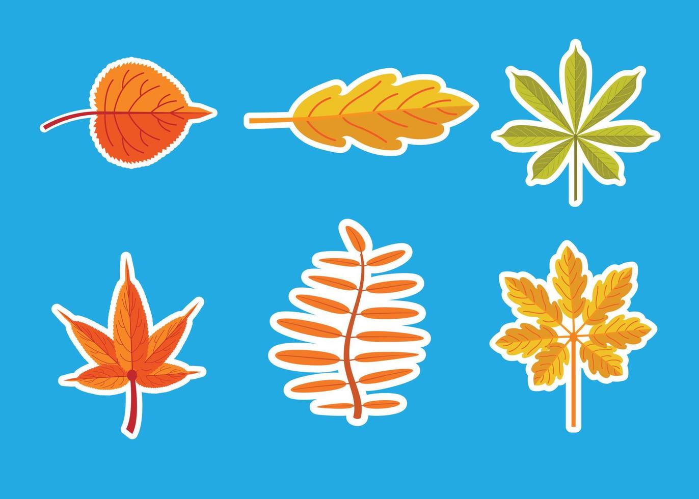 fall pumpkin trendy Sticker design vector