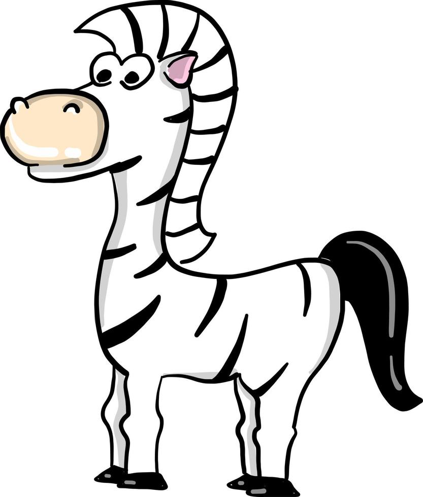 Young zebra, illustration, vector on white background