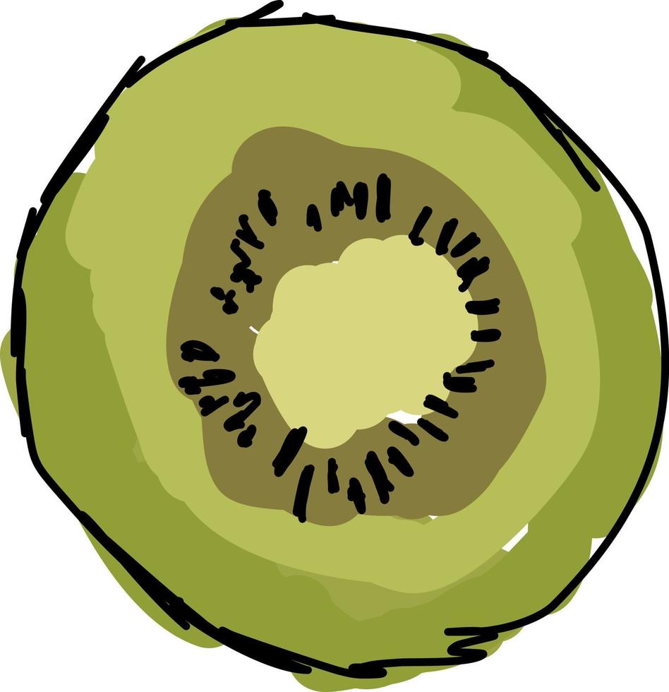 Half kiwi, illustration, vector on white background.