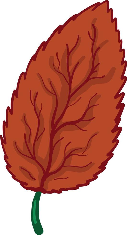 Autumn leaf, illustration, vector on a white background.