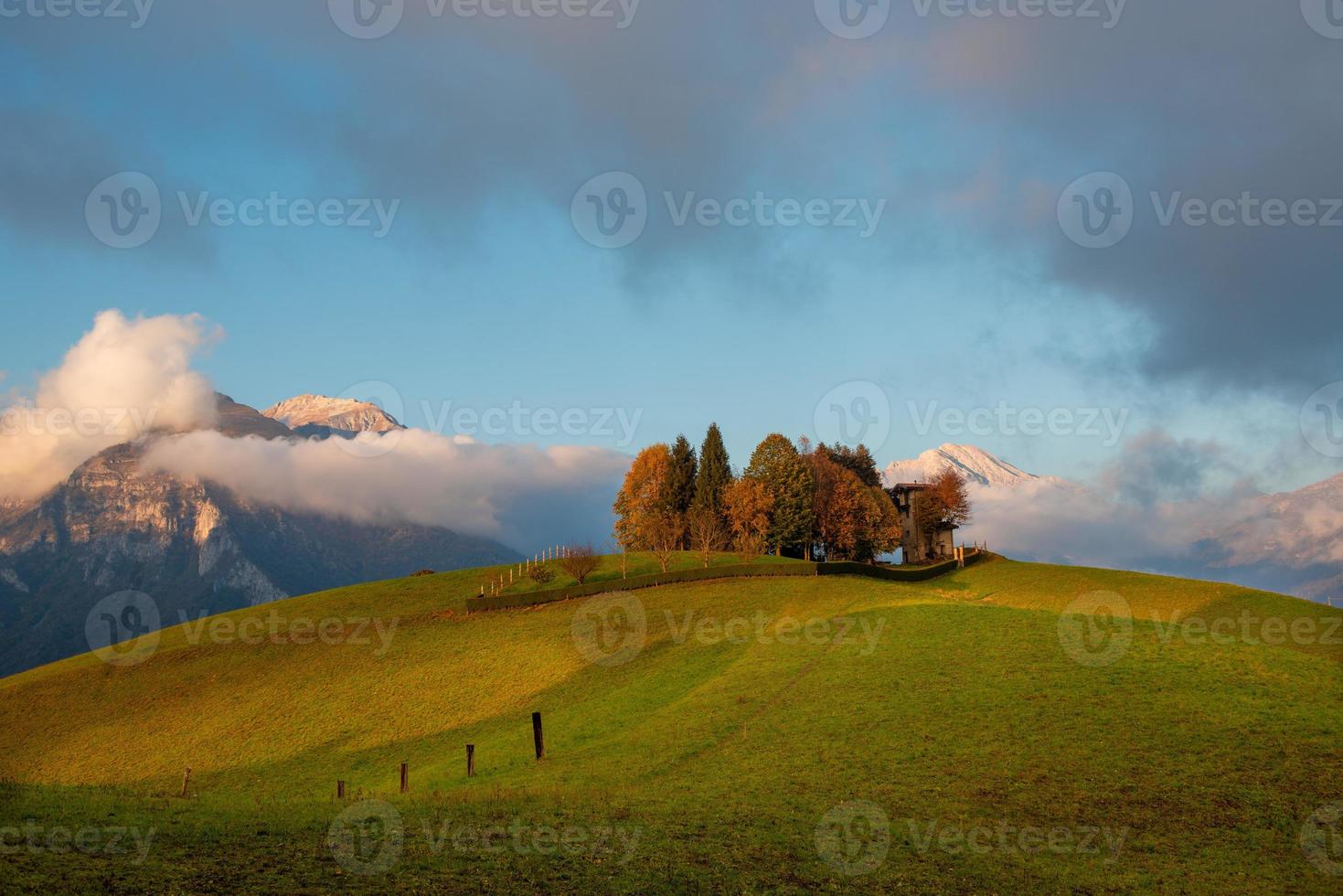 hill with trees photo