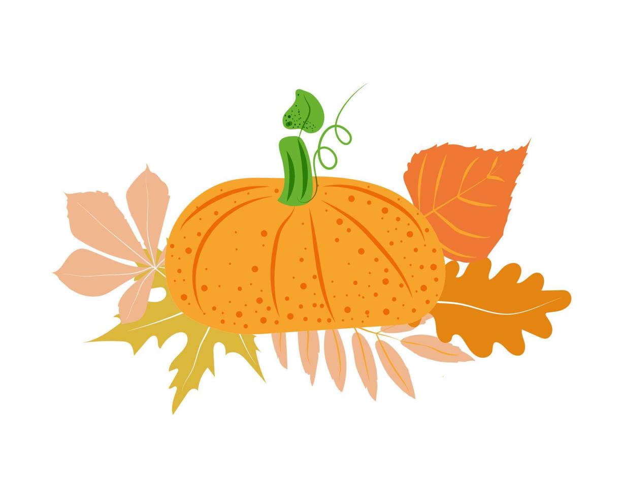 Autumn leaf and vegetable compositions for postcards. Pumpkins and autumn leaves in bright orange. Suitable for posters and invitations vector