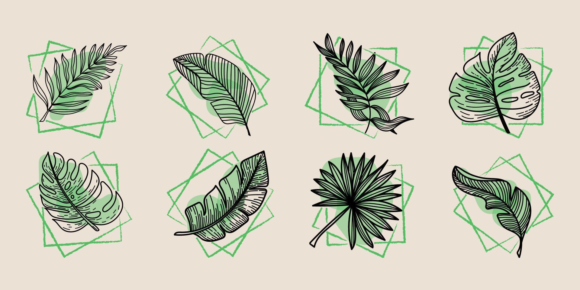 A set of tropical elements tropical monster leaves, banana leaves, etc. Hand-drawn doodle-style elements. Bright greens in abstract squares on beige light background. Tropics. Summer vector