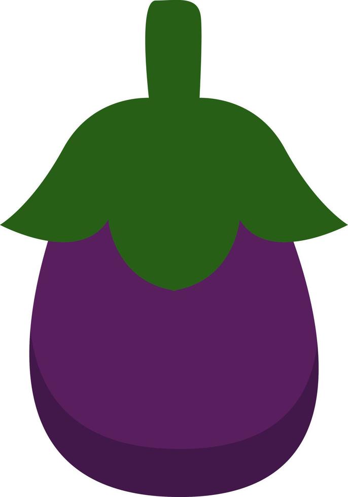 Purple eggplant, illustration, vector on a white background.