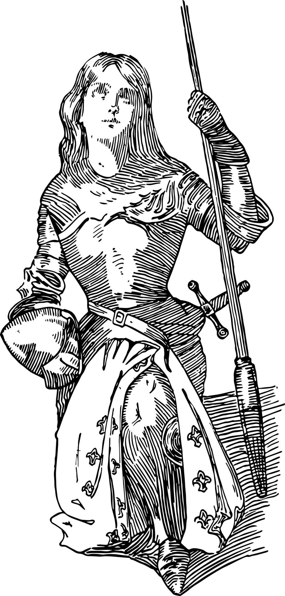 Joan of Arc vintage illustration 13664230 Vector Art at Vecteezy