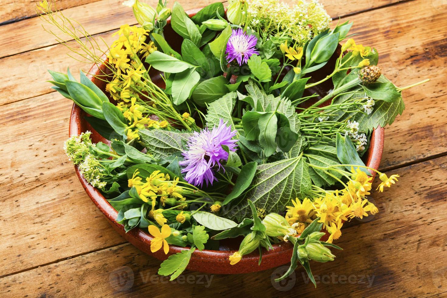 Natural medicine,fresh plants,healing herbs photo