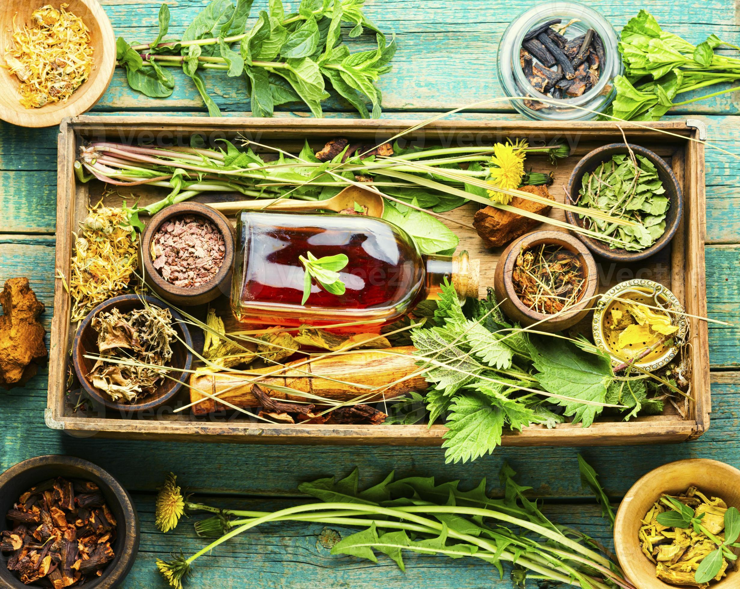 Healing herbs,roots and extracts in herbal medicine 13665138 Stock