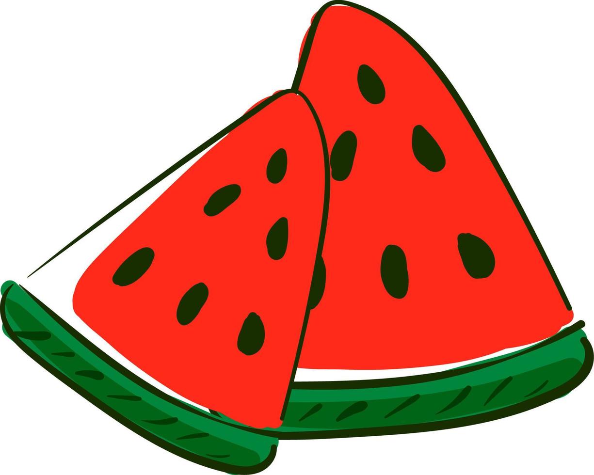 A pair of watermelon, vector or color illustration.