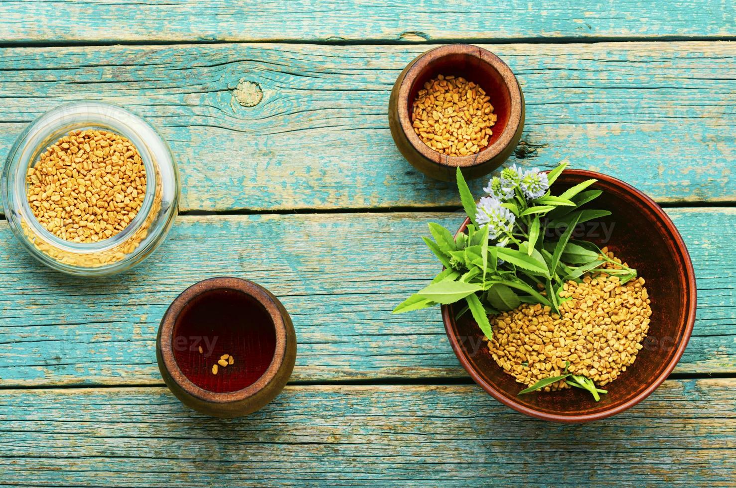 Fenugreek seeds and leaves photo