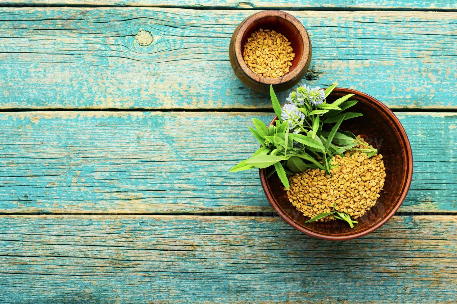 Fenugreek seeds and leaves 13665952 Stock Photo at Vecteezy