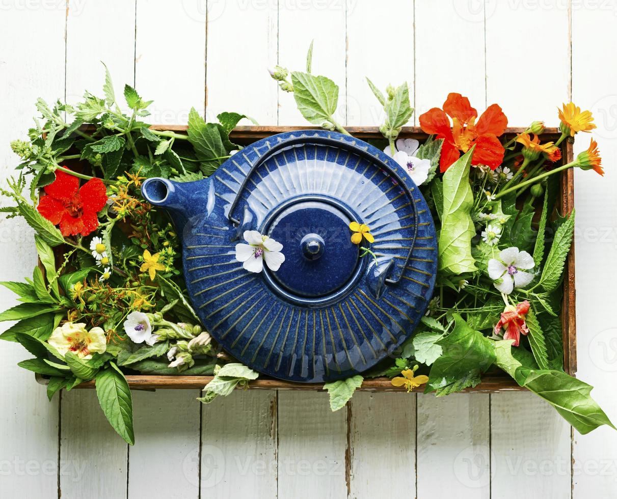 Teapot with fresh medicinal herbs photo