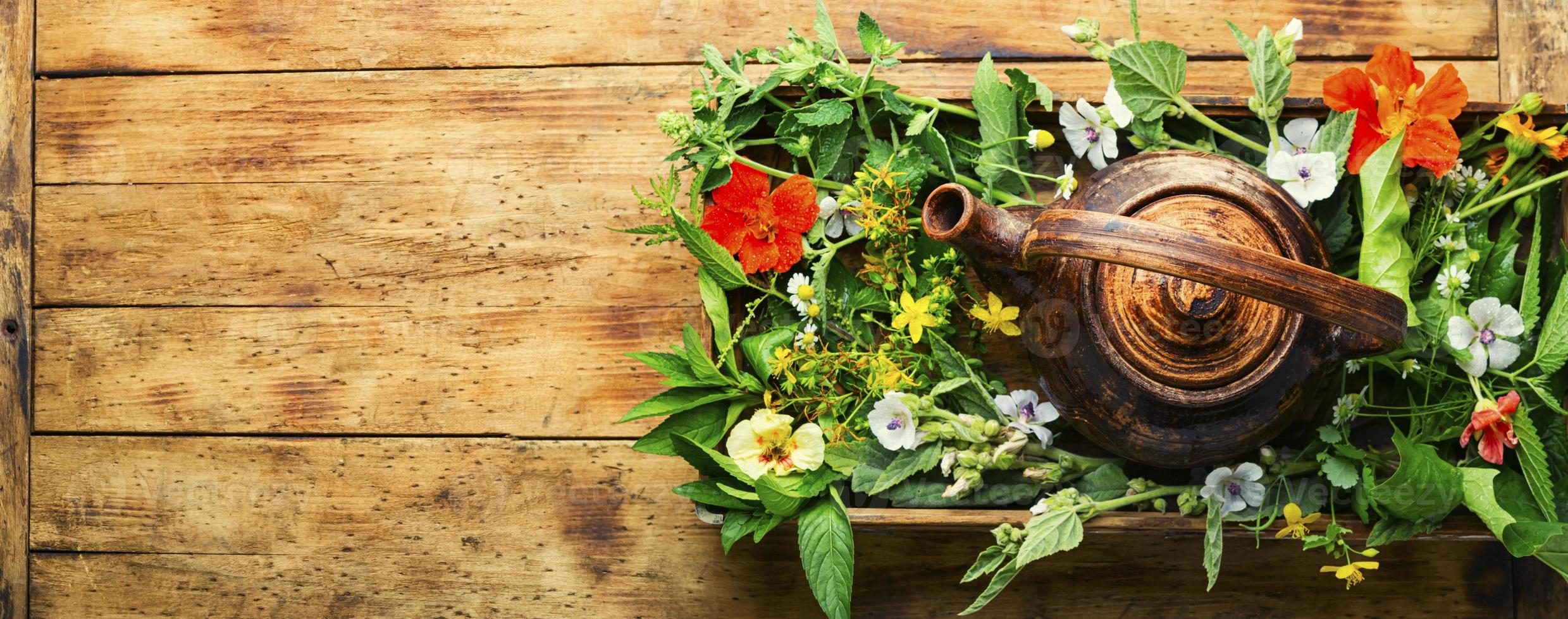 Herbal tea,flowers and herbs,medicinal herbs photo