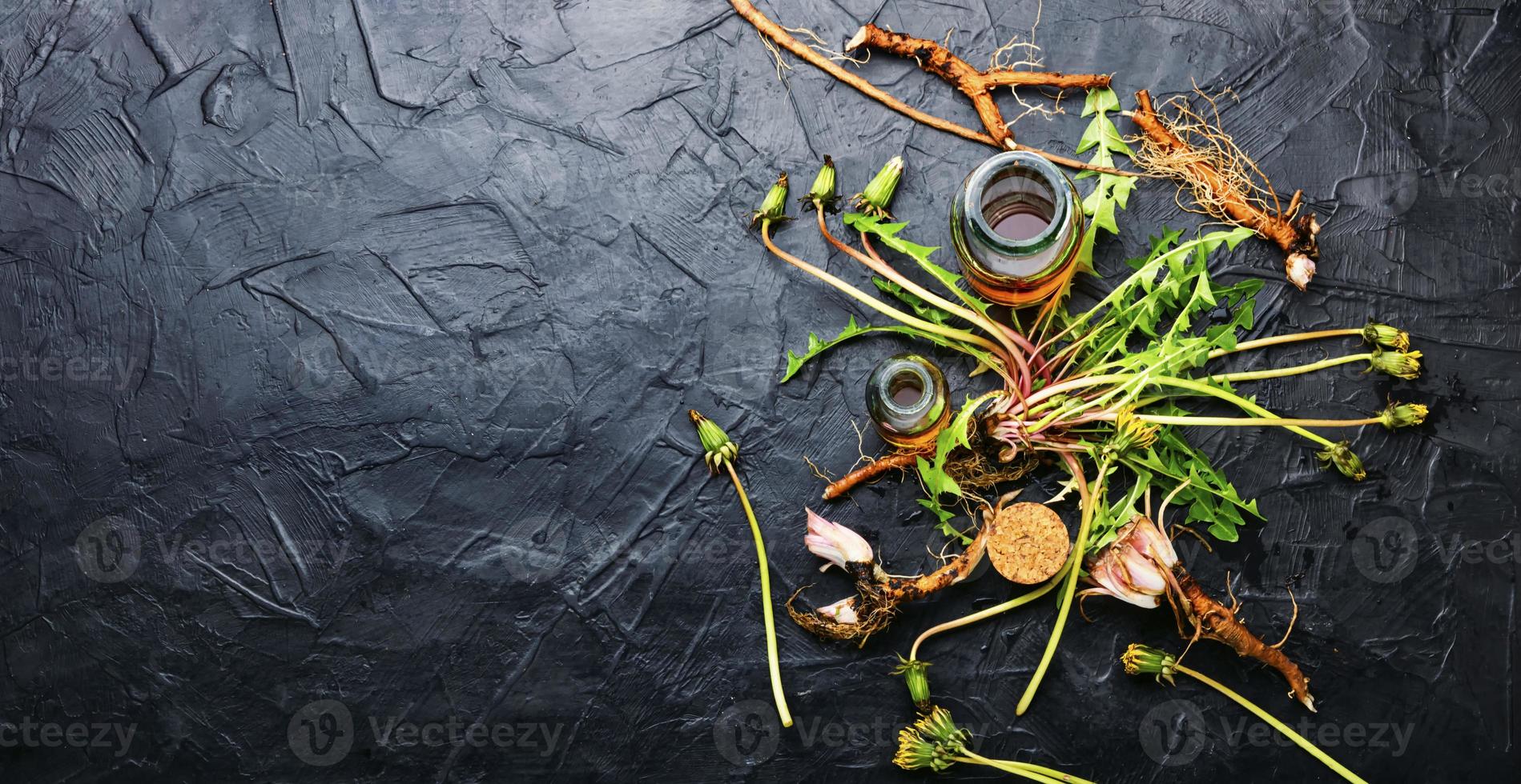 Dandelion root in herbal medicine photo