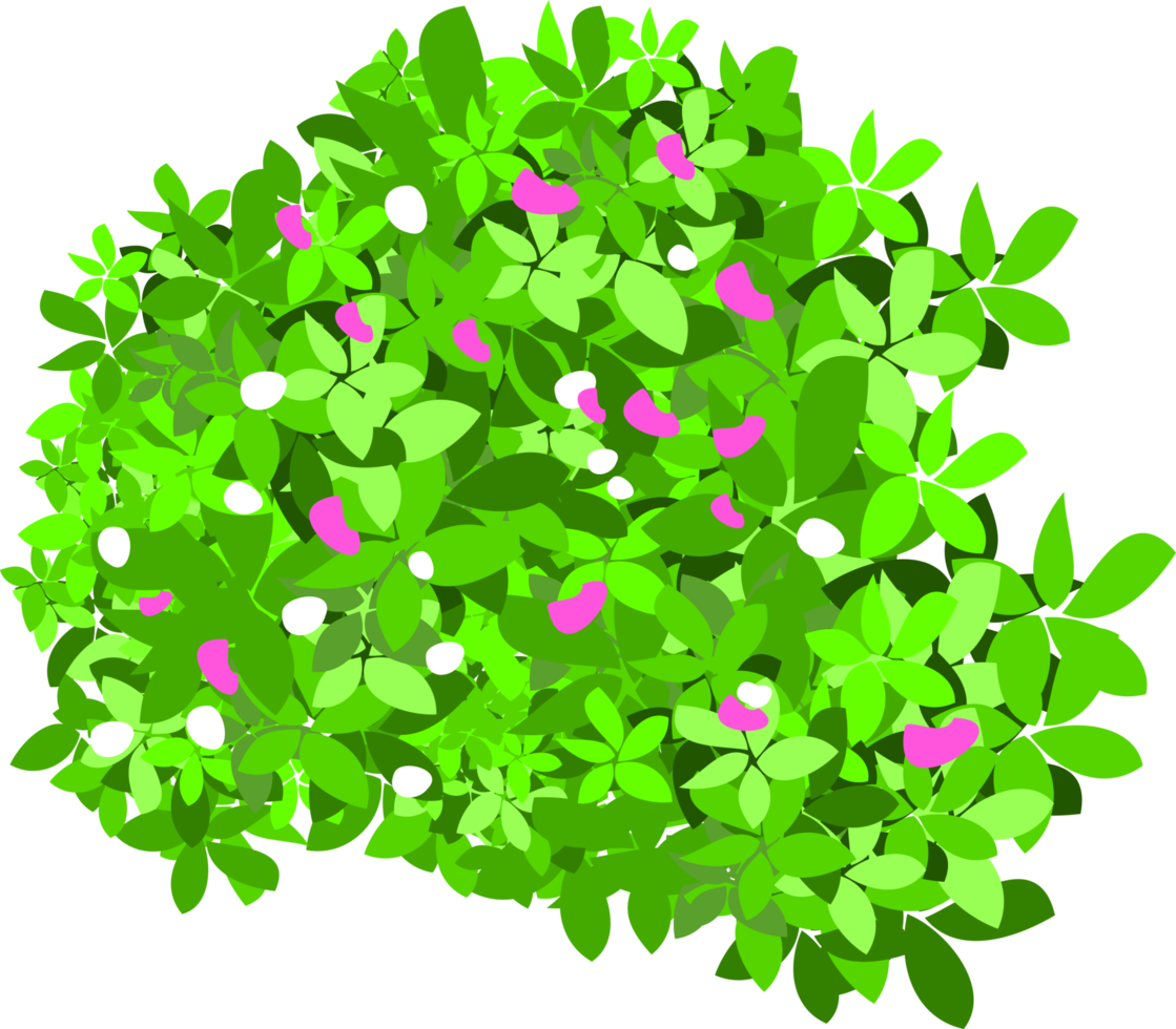 blomma buske element png