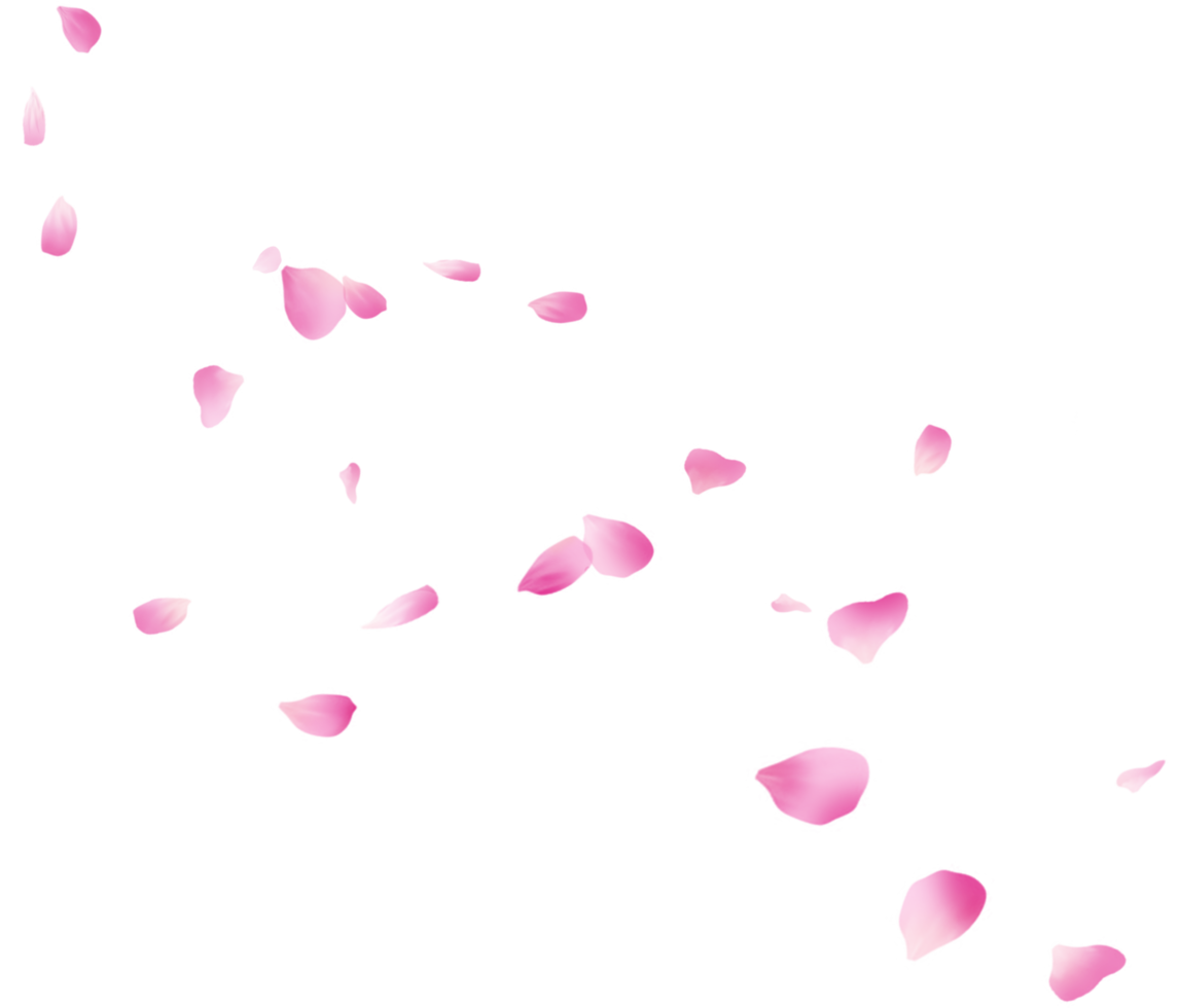 Falling Flower Petals png