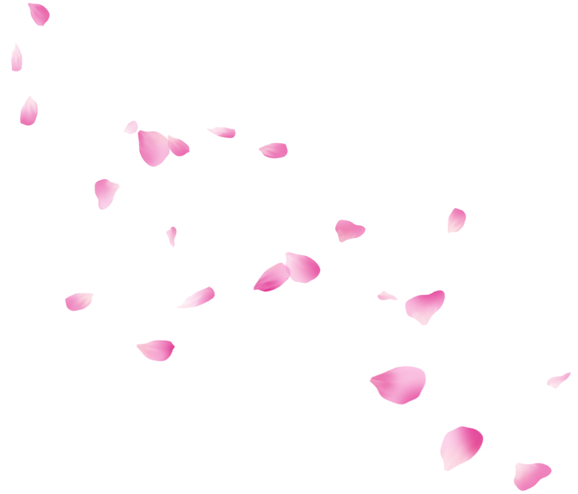 Flower Petals Falling Png