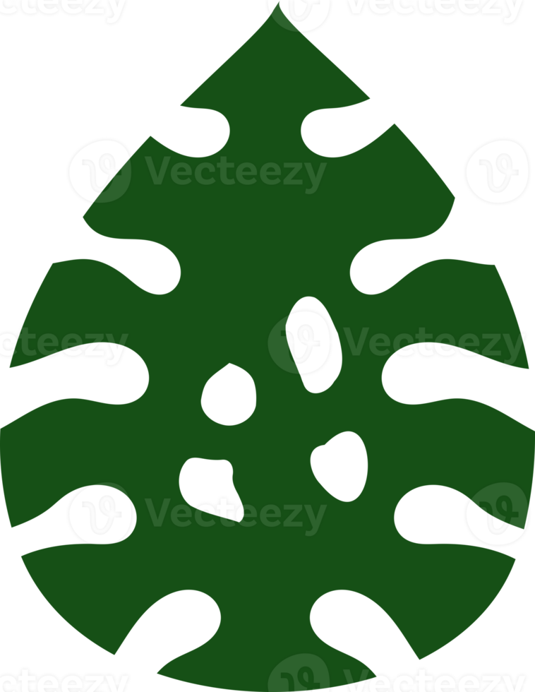 monstera tropisk blad png