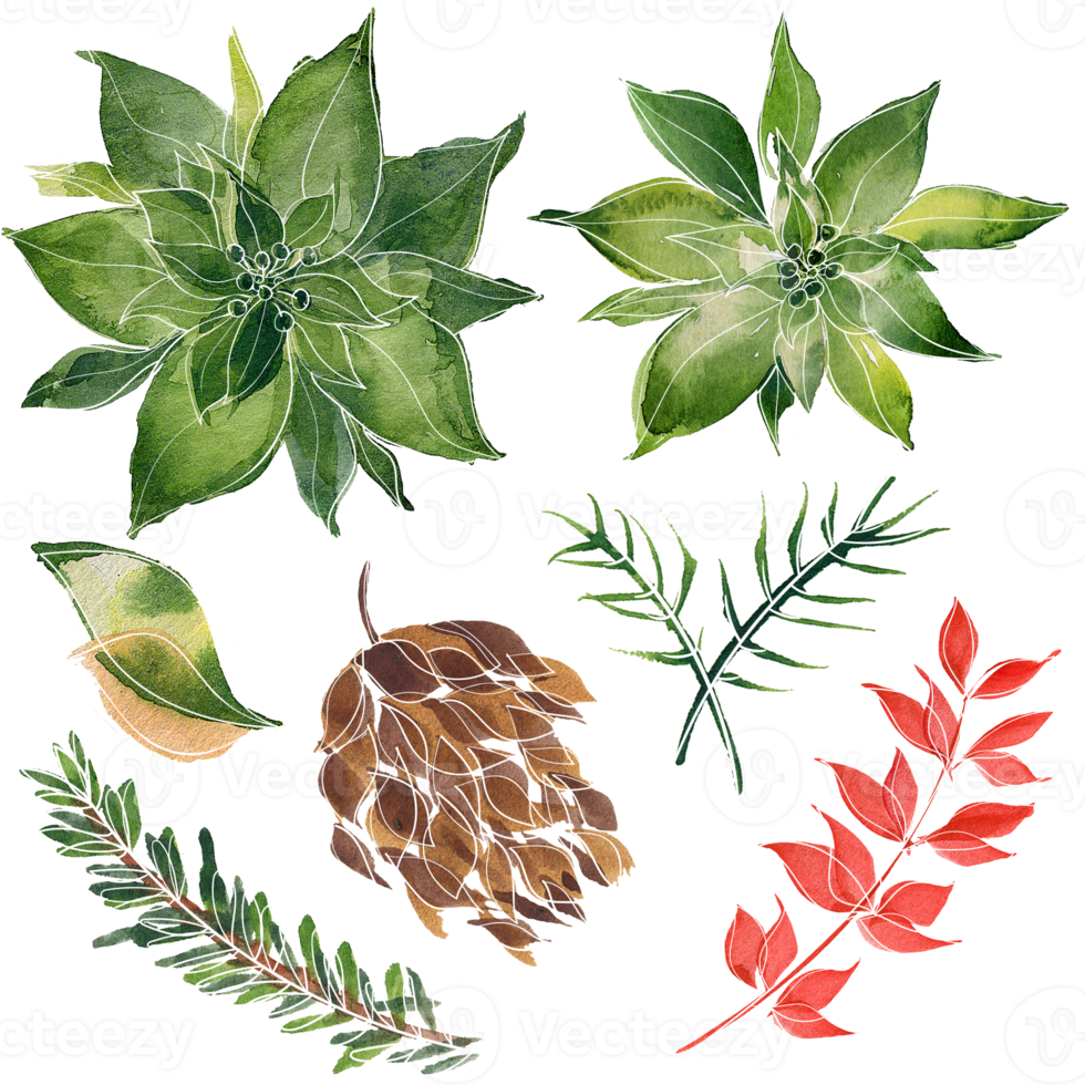 elementos de aquarela florais de natal e ano novo png