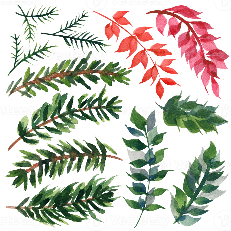 Christmas floral bundle with different branches png