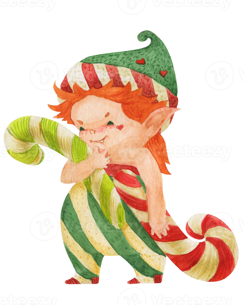 Christmas elf story, elf carries two candy canes png