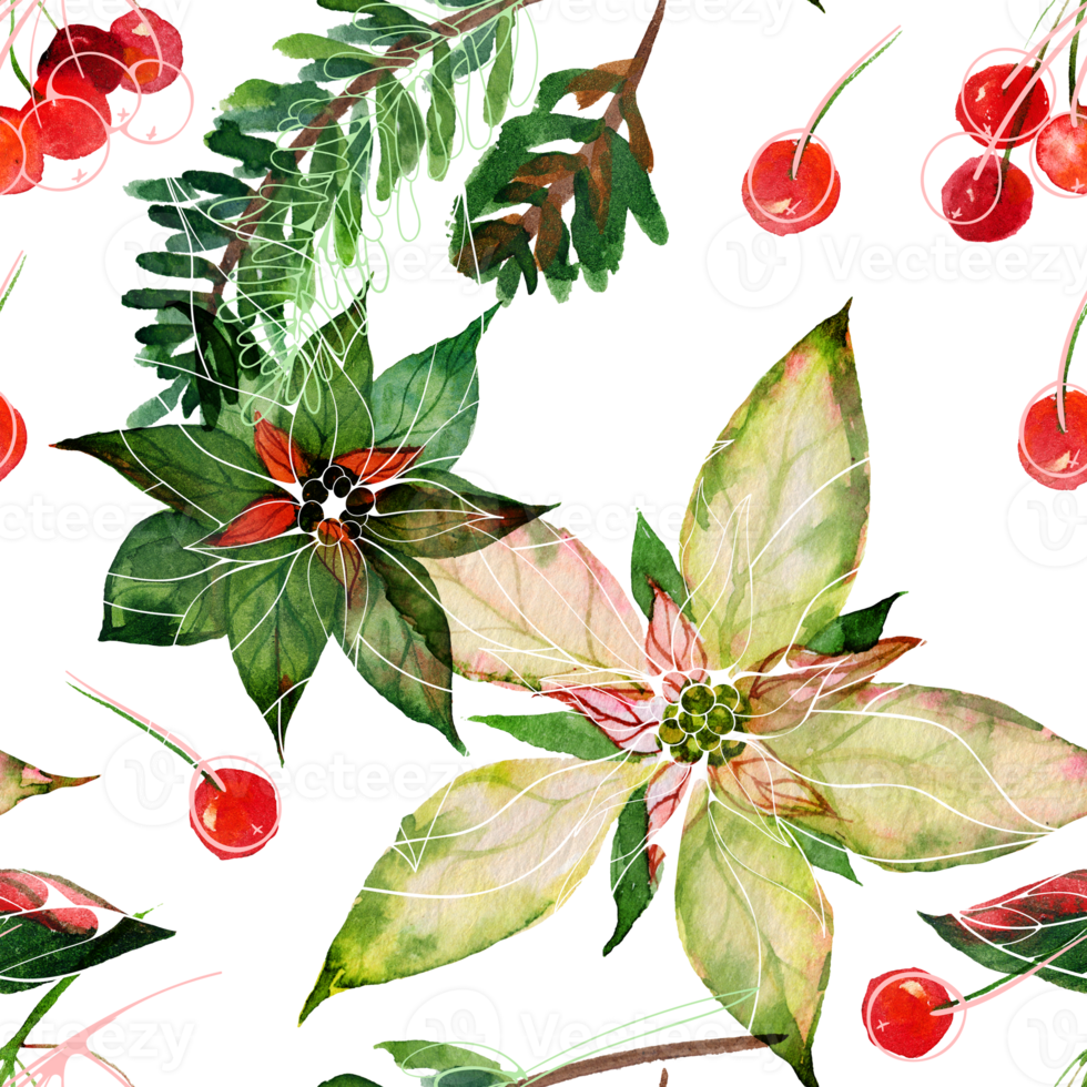 Poinsettia and fir-tree branches and red winter berries. Christmas seamless pattern. png