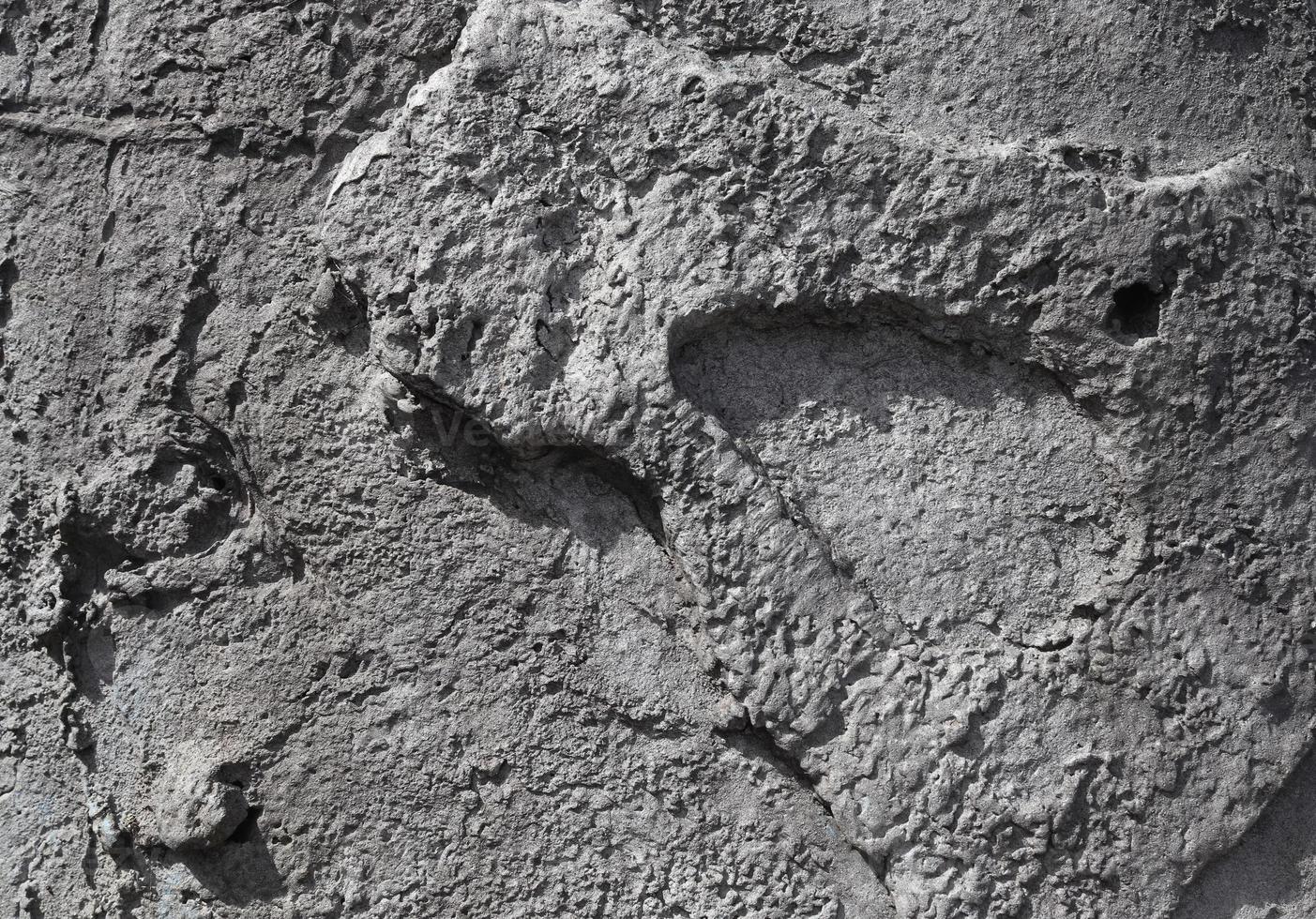 Detailed close up view on aged concrete walls with cracks and lots of structure photo