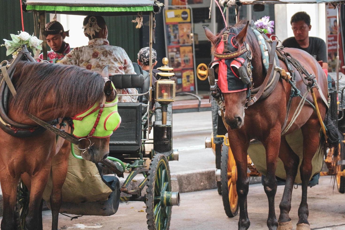 Yogyakarta, Indonesia on October 23, 2022. Andong or horse-drawn carriage with its coachman parked on Jalan Malioboro, waiting for passengers. photo