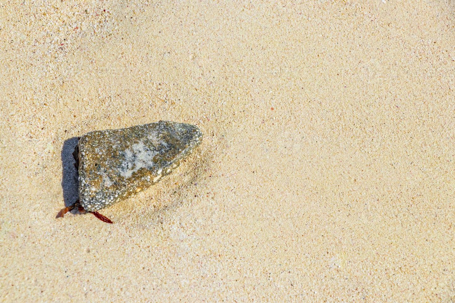 Stones shells corals on beach sand Playa del Carmen Mexico. photo