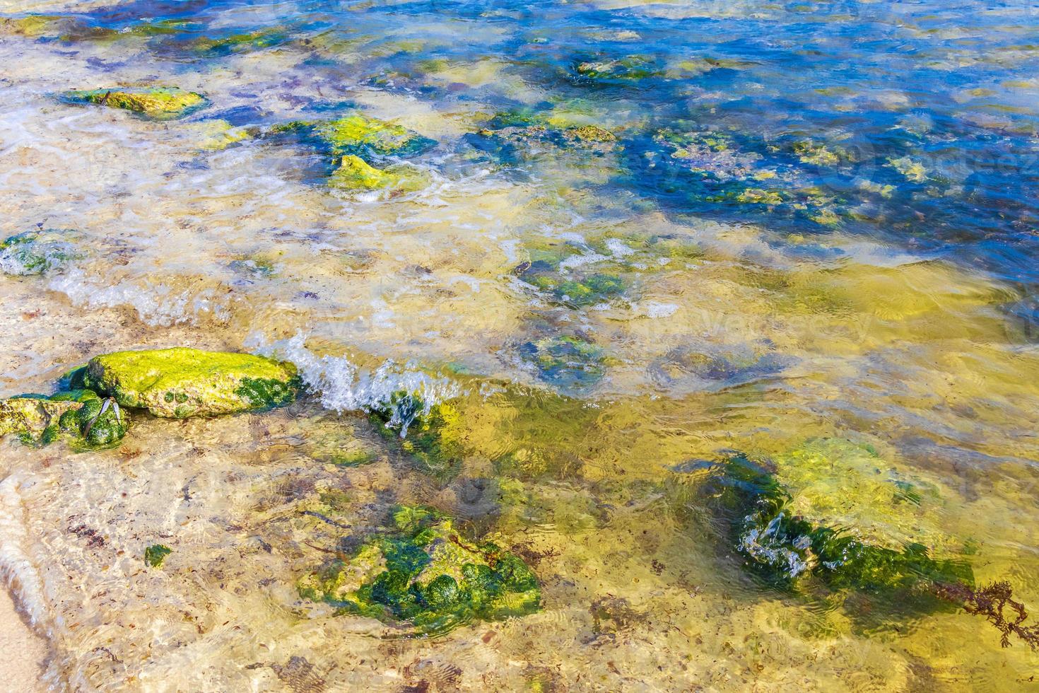 Stones rocks corals turquoise green blue water on beach Mexico. photo