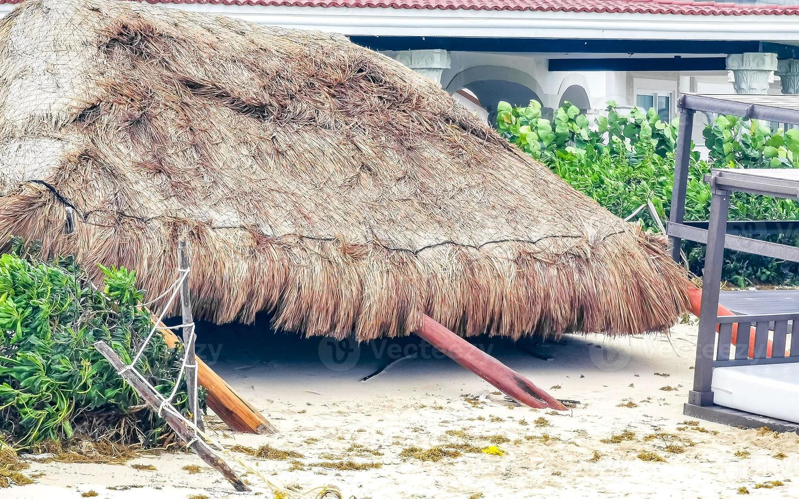 Hurricane 2021 Playa del Carmen Mexico destruction devastation broken trees. photo