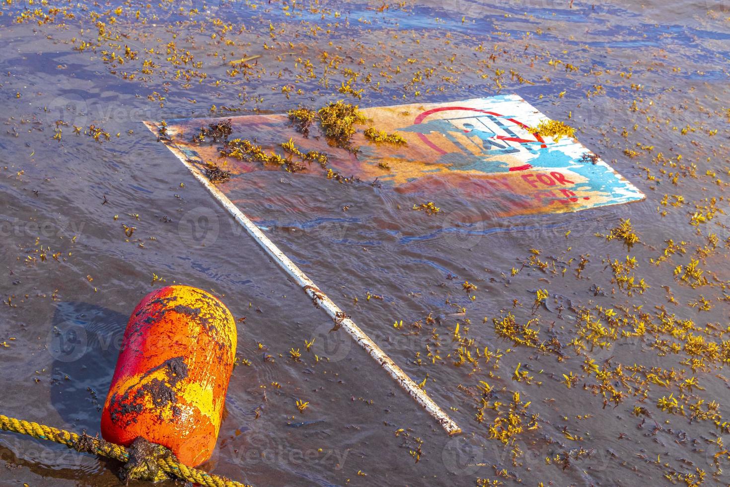 Very disgusting red seaweed sargazo beachwith garbage pollution Mexico. photo