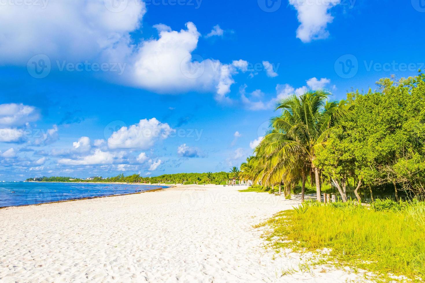 Tropical mexican beach clear turquoise water Playa del Carmen Mexico. photo