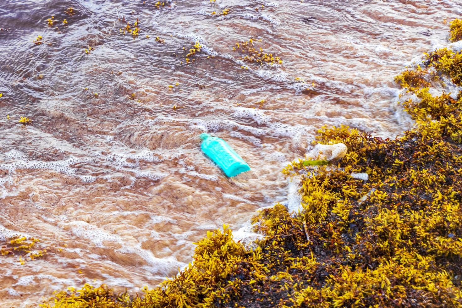 Very disgusting red seaweed sargazo beachwith garbage pollution Mexico. photo