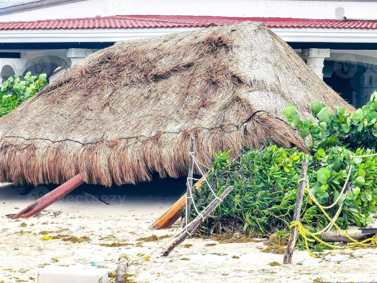 Hurricane 2021 Playa del Carmen Mexico destruction devastation broken trees. photo