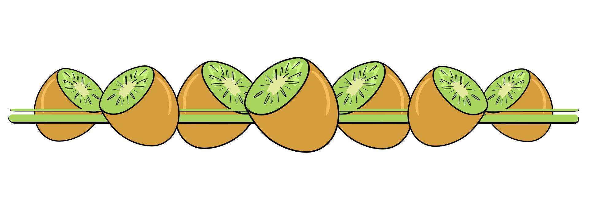 Horizontal border, edge, bright juicy halves of tropical kiwi, vector illustration in cartoon style on a white background