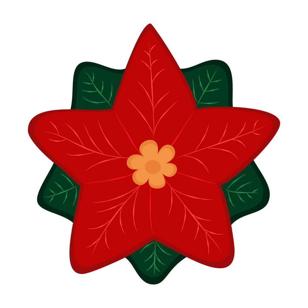 Isolated Christmas flower is the poinsettias on a white background. Cartoon flat style. vector