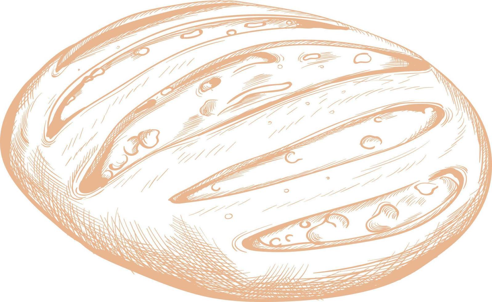 Bread for food drawn sketch. vector