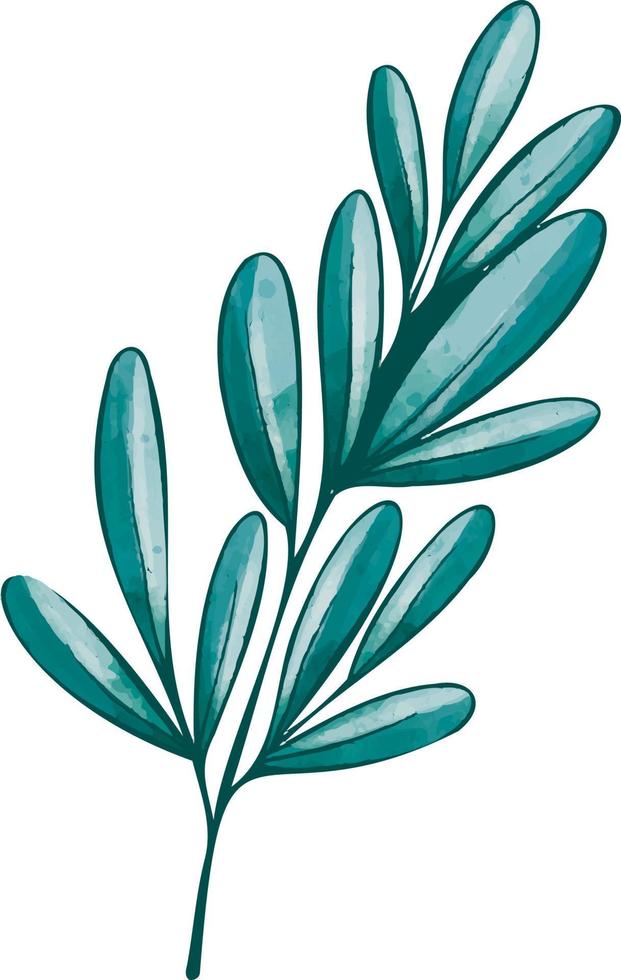 Branch with blue leaves. vector