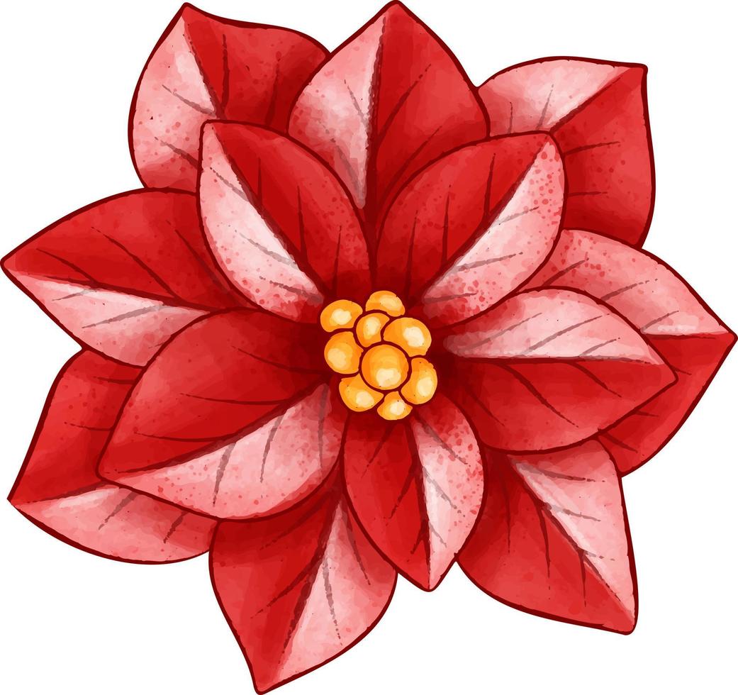 Red Christmas flower. vector