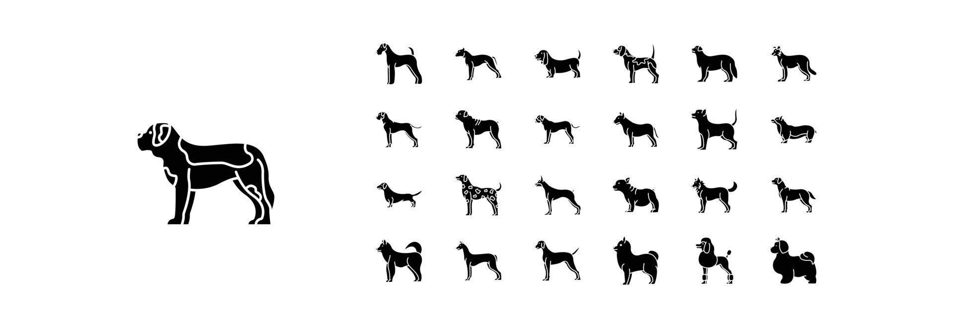 colección de íconos relacionados con razas de perros, incluidos íconos como airedale, american staffordshire y más. ilustraciones vectoriales, conjunto perfecto de píxeles vector