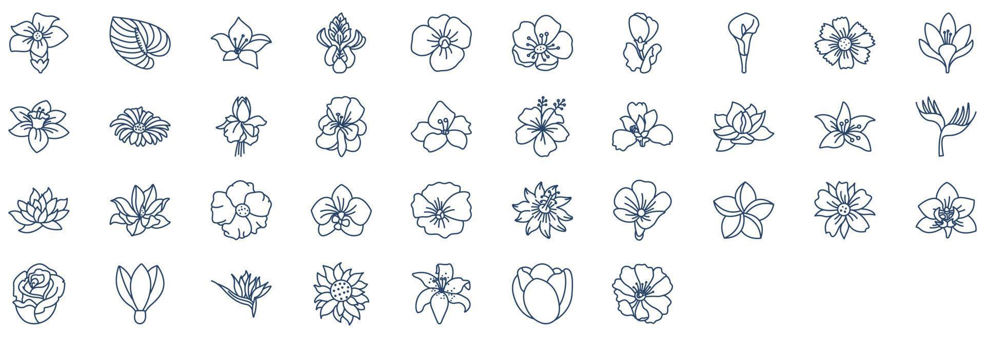 Collection of icons related to Flowers, including icons like Iris, Poppy, Snowdrop, Rose and more. vector illustrations, Pixel Perfect set