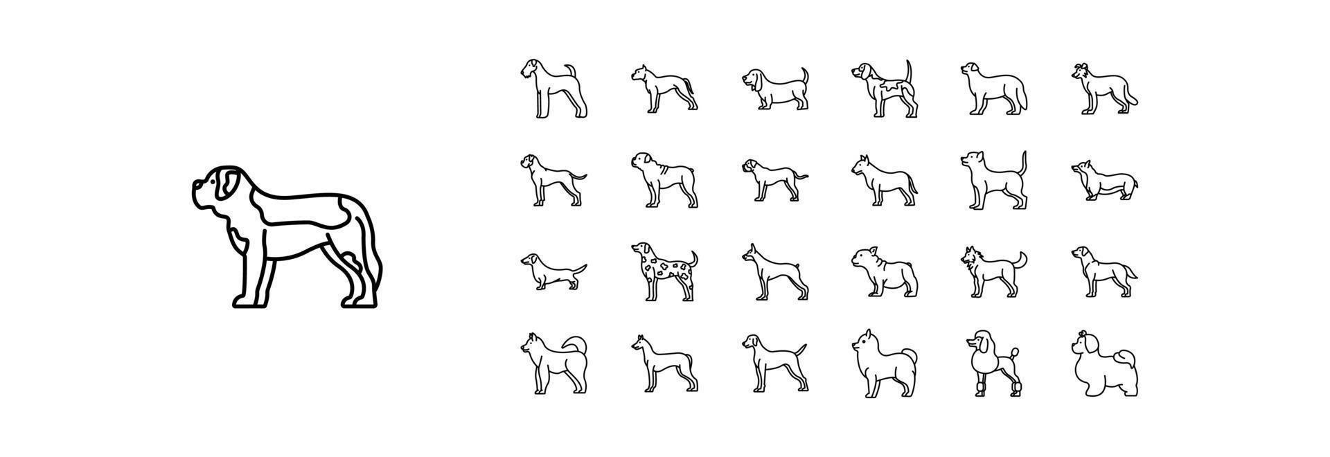 colección de íconos relacionados con razas de perros, incluidos íconos como airedale, american staffordshire y más. ilustraciones vectoriales, conjunto perfecto de píxeles vector