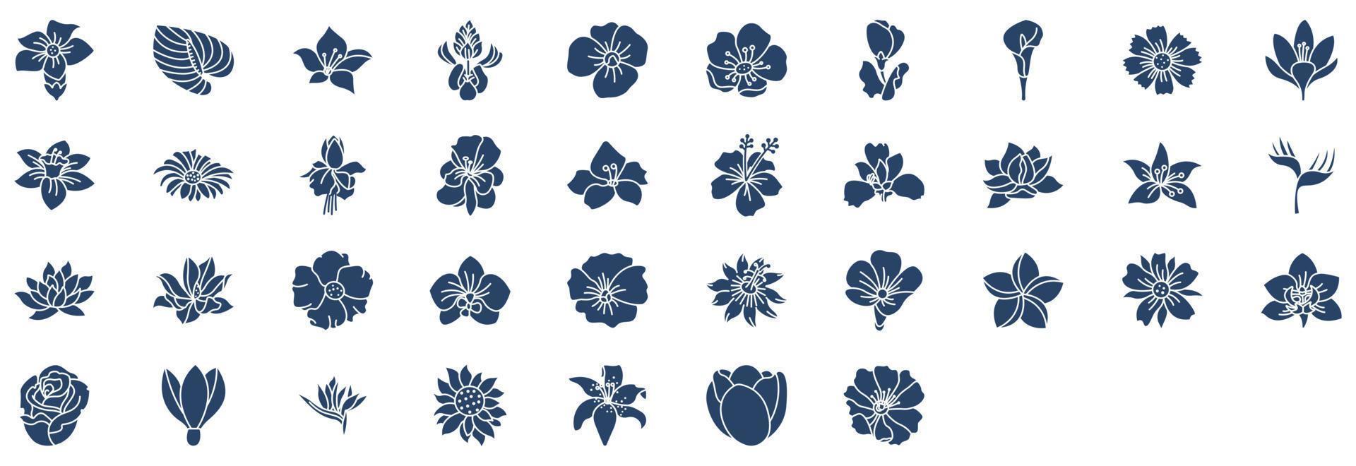Collection of icons related to Flowers, including icons like Iris, Poppy, Snowdrop, Rose and more. vector illustrations, Pixel Perfect set