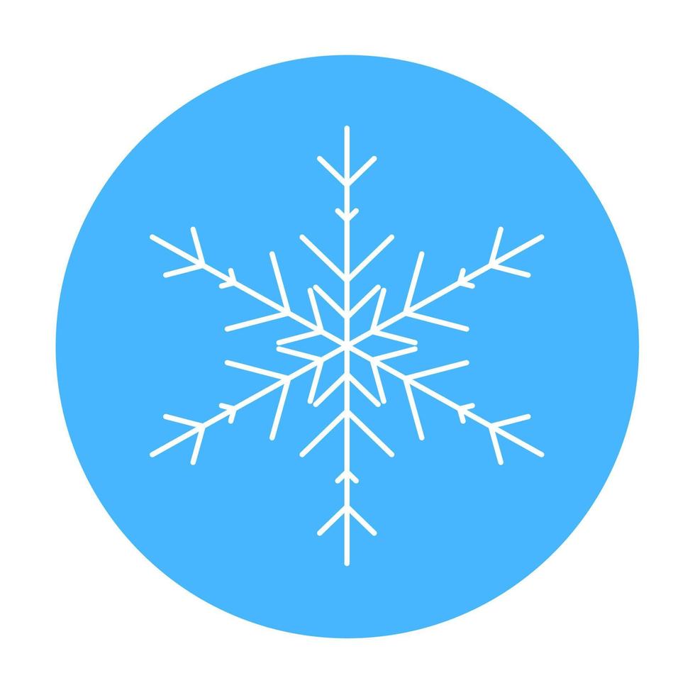 Vector  winter snowflake icon. illustration for web