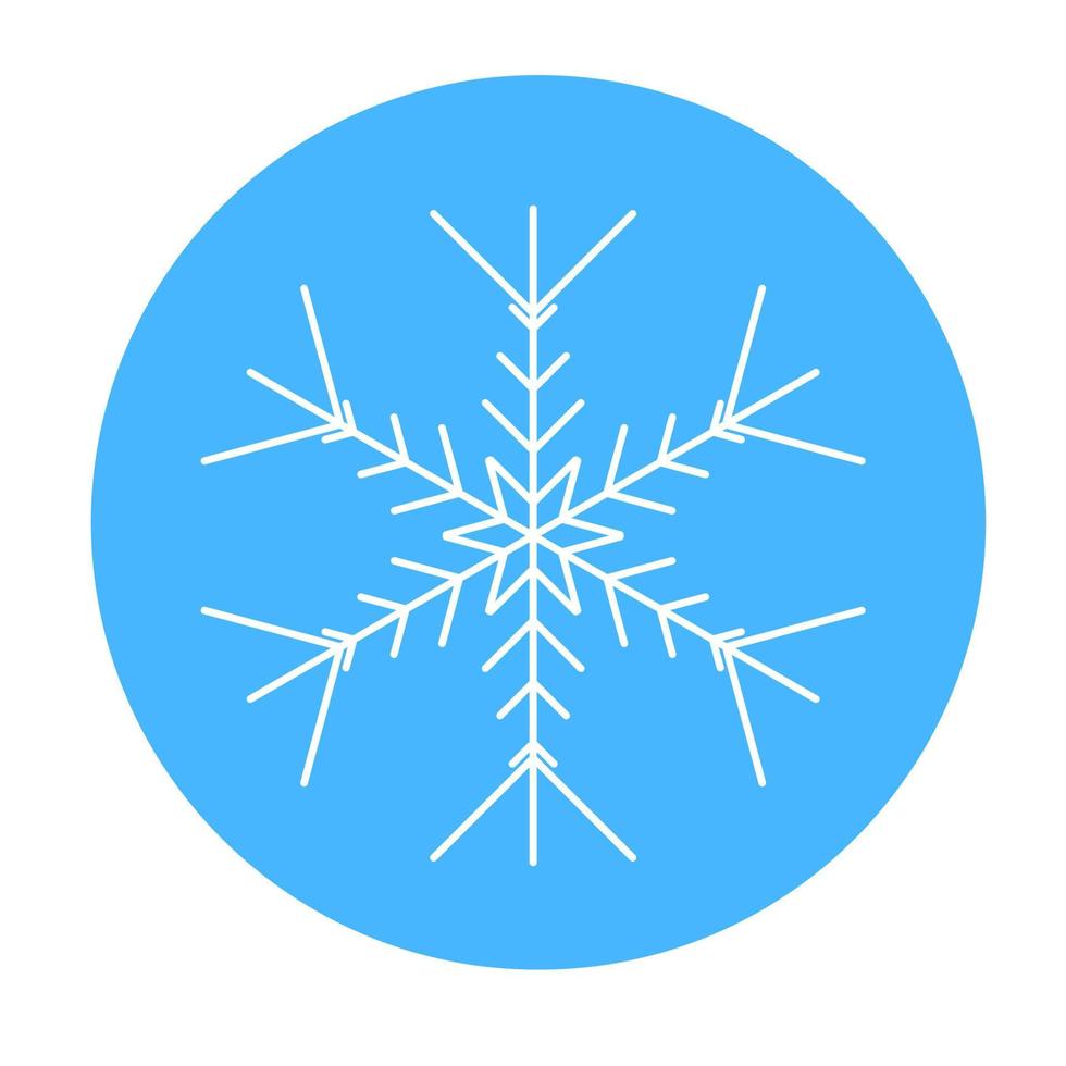 Vector  winter snowflake icon. illustration for web